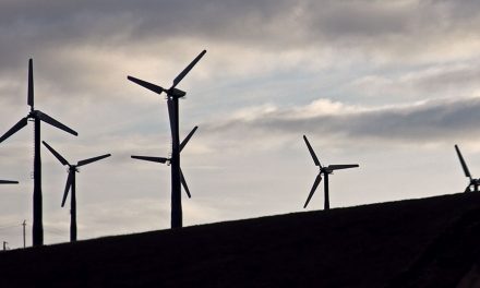 Wind Power: Must the Choice Be Clean Energy or Wildlife?