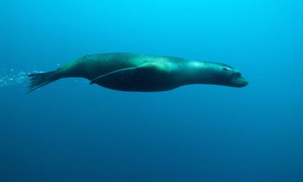 Photo of the Day: Vroom!