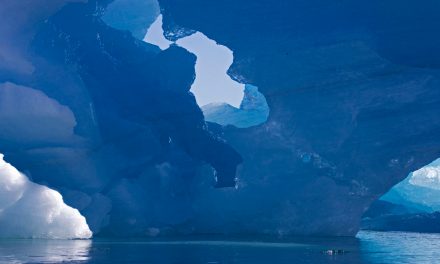 Photo Journal: Three Places To Still See Icebergs