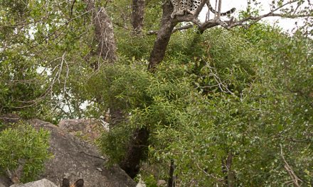 Photo of the Day: Which Way Did He Go?