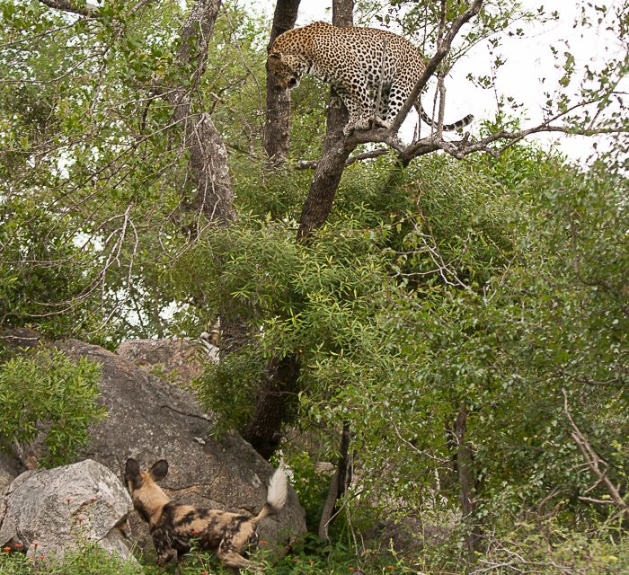 Photo of the Day: Which Way Did He Go?