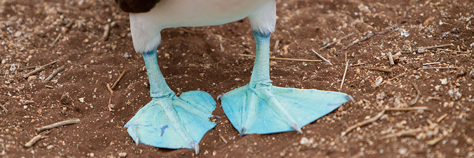 Can You Guess Which Pacific Archipelago Topped T + L's Best Islands List in 2015?