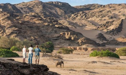 Five Reasons to Visit Hoanib Skeleton Coast Camp