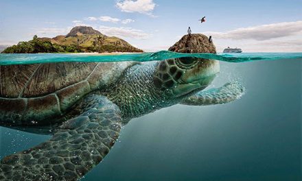 Whimsical Advertising Campaign Reimagines Galapagos Islands as Giant Sea Creatures