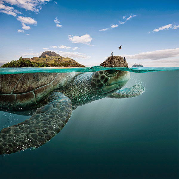 Whimsical Advertising Campaign Reimagines Galapagos Islands as Giant Sea Creatures