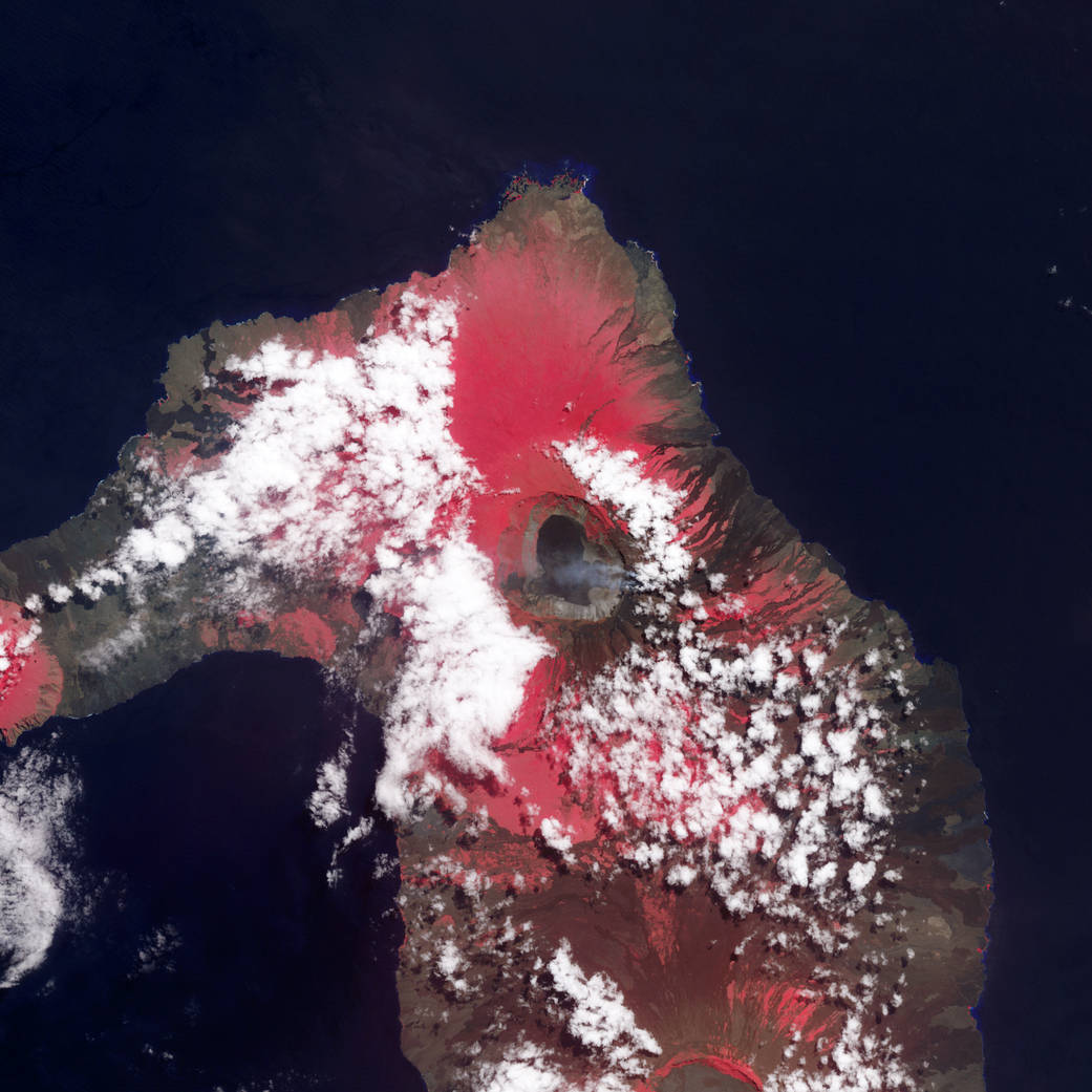 nasa photo of wolf volcano from space.