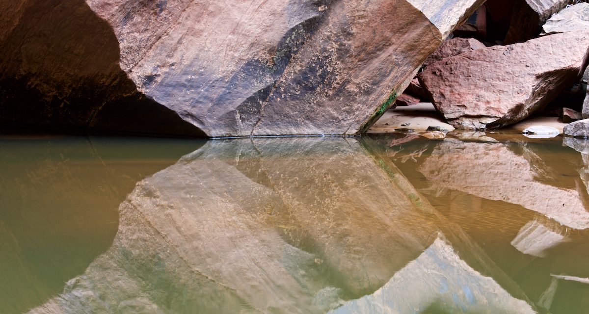 Tell a River's Conservation Story Through Photography