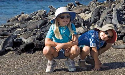 Galapagos Islands for Families – Top Tips for Traveling with Kids