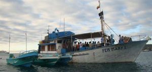 Fed Mary I Galapagos