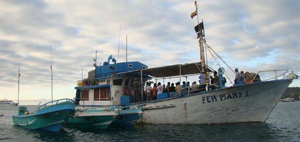 Fed Mary I Galapagos