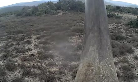 Video: New Rhino Cam Could Help Thwart Poachers