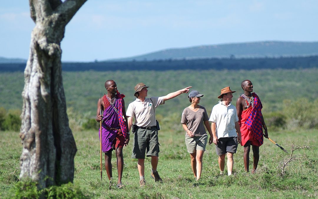 Kenya’s Mara Siana Conservancy — From Goats to Lions