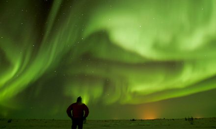 What do Northern Lights and Polar Bears have in Common?