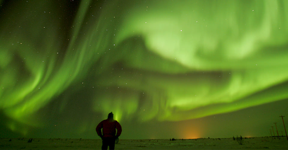 What do Northern Lights and Polar Bears have in Common?