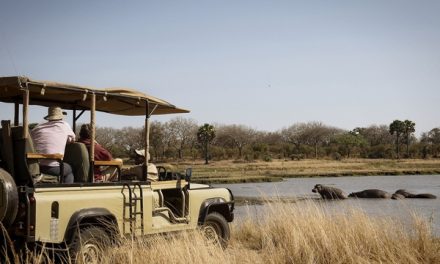 Three Reasons Why Katavi National Park Should Be on Your Safari Bucket List