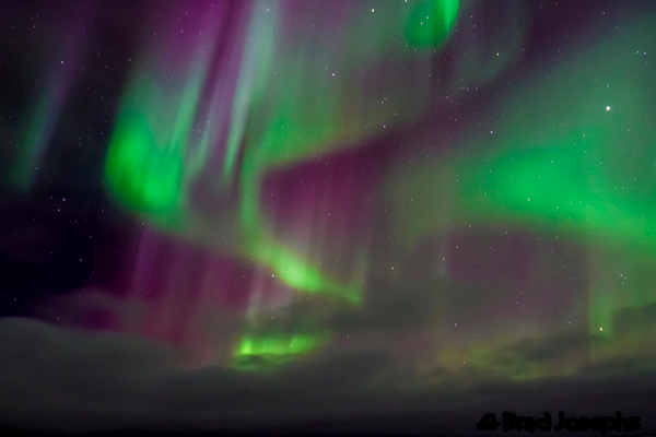 Under the Aurora in Churchill