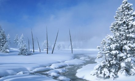 6 Adventures that Will Make You Love Winter