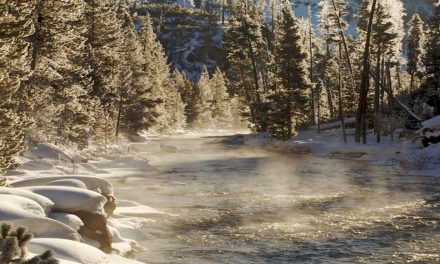 Is There a New State Trend to Ban Citizen Science?