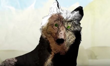 Video: 20 Years after the Return of the Wolf