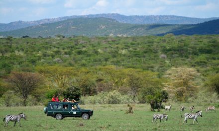 Would you pass up a free trip to Kenya?