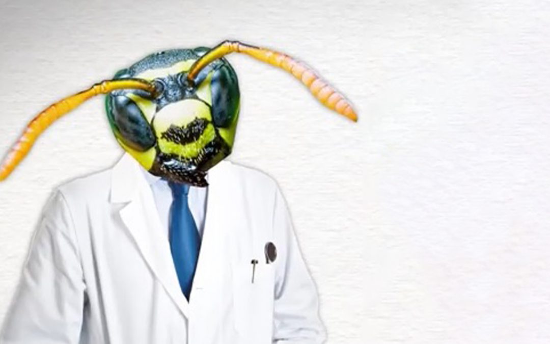 Halloween Video: Nature’s Zombies