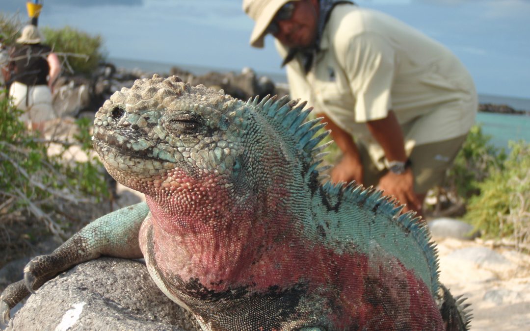 What to Bring on Your Galapagos Adventure