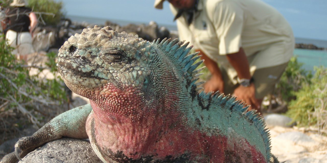 What to Bring on Your Galapagos Adventure