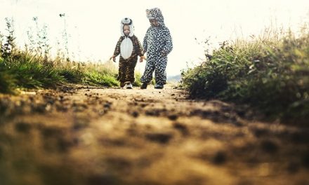 QUIZ: Which animal should you be for Halloween?