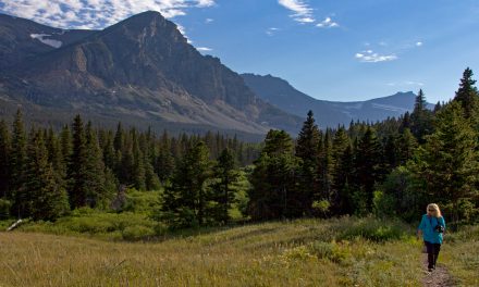 REI Closed on Black Friday: Altruism or Mere Marketing Ploy?