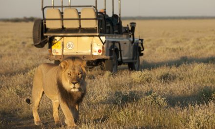 Lonely Planet’s 2016 Best Places to Travel: See 5 of Them with Nat Hab!