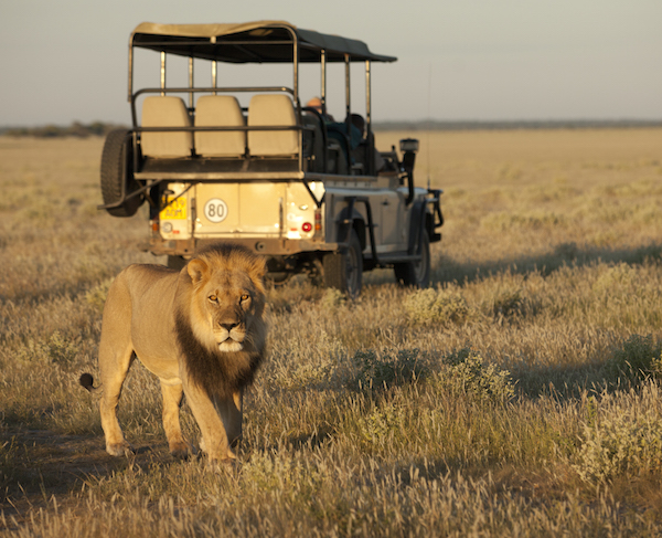 Lonely Planet’s 2016 Best Places to Travel: See 5 of Them with Nat Hab!