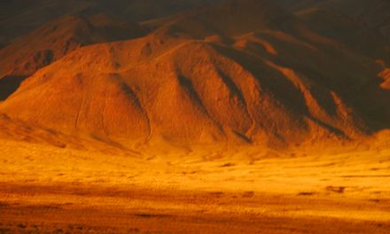 Climate Change Quiz: How Much Do You Know?