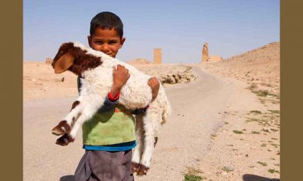 The Climate Change Link to the Syrian War