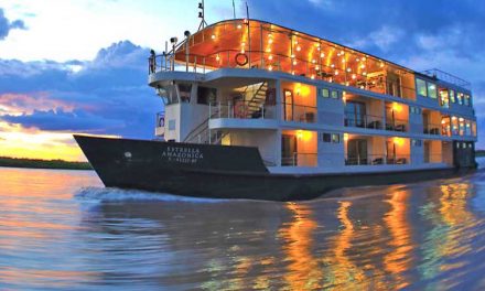 Cruising in Style in the Amazon: Must See & Do