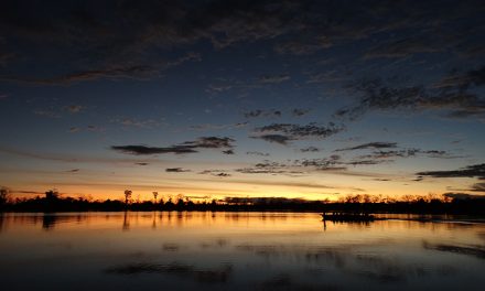 Further Up the Amazon River