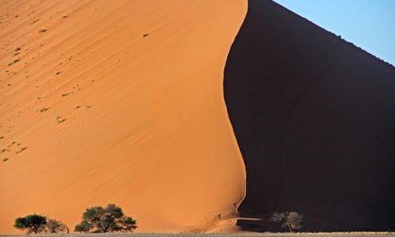 Five Can’t-Miss Things to Do in Namibia