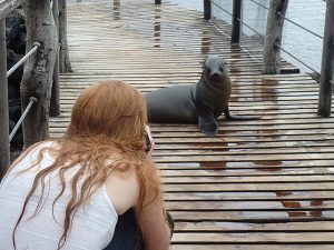 Galapagos Wildlife Photography