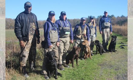 Dogs May Be Our Best Conservation Aids