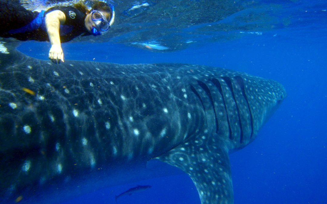 Let The NY Times 52 Places to Go in 2016 Inspire Your Travel Resolutions