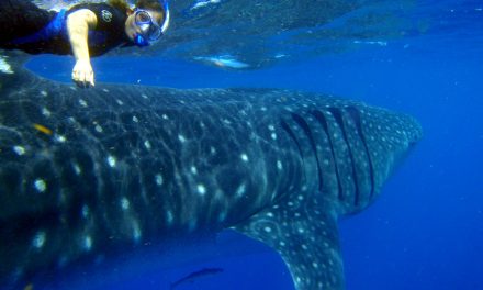 Let The NY Times 52 Places to Go in 2016 Inspire Your Travel Resolutions