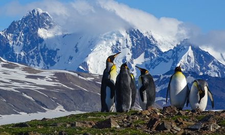 (South) Georgia On My Mind