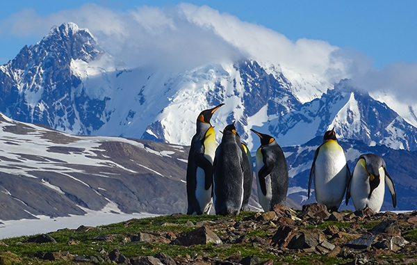 South Georgia Island