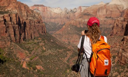 Top 6 Summer Adventures for Nature Lovers