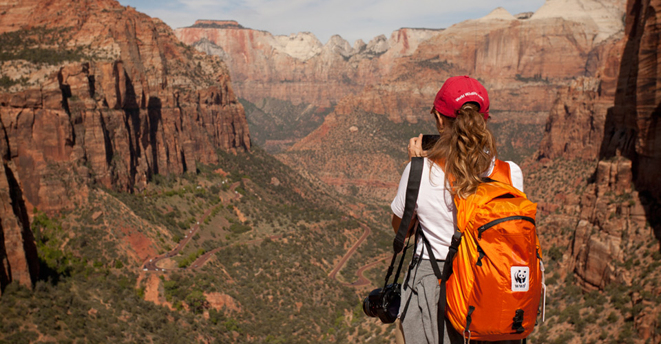 Top 6 Summer Adventures for Nature Lovers