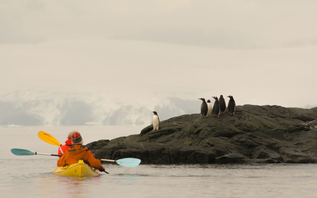 What to Pack on Your Active Antarctica Sailing Adventure
