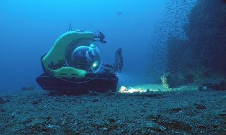 Biodiversity Hotspots Discovered on Galapagos Expedition