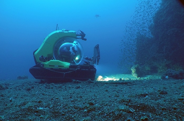 Biodiversity Hotspots Discovered on Galapagos Expedition