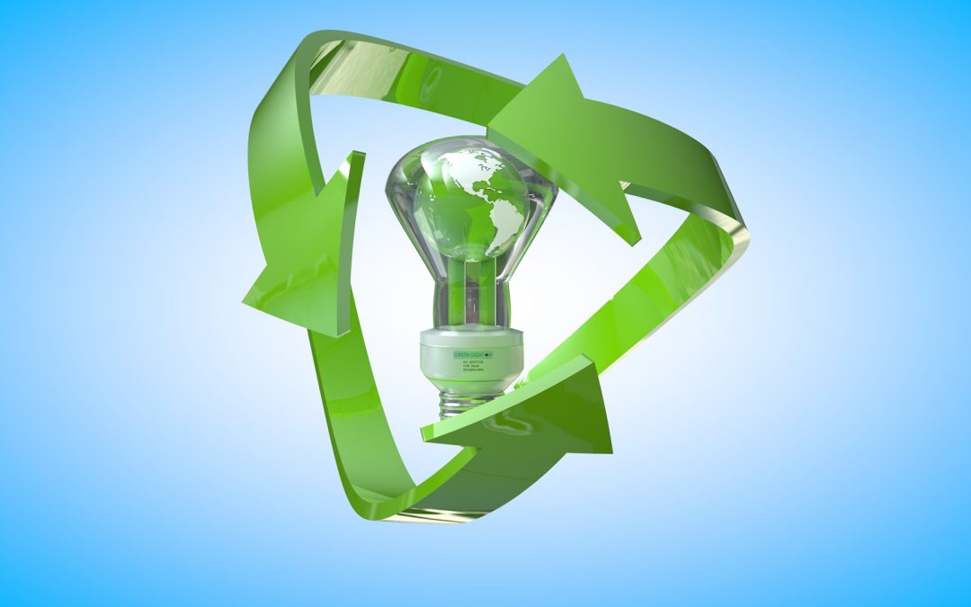 Beyond Ecotourism: 5 Everyday Ideas for Living a Greener Lifestyle Once You’re Back Home