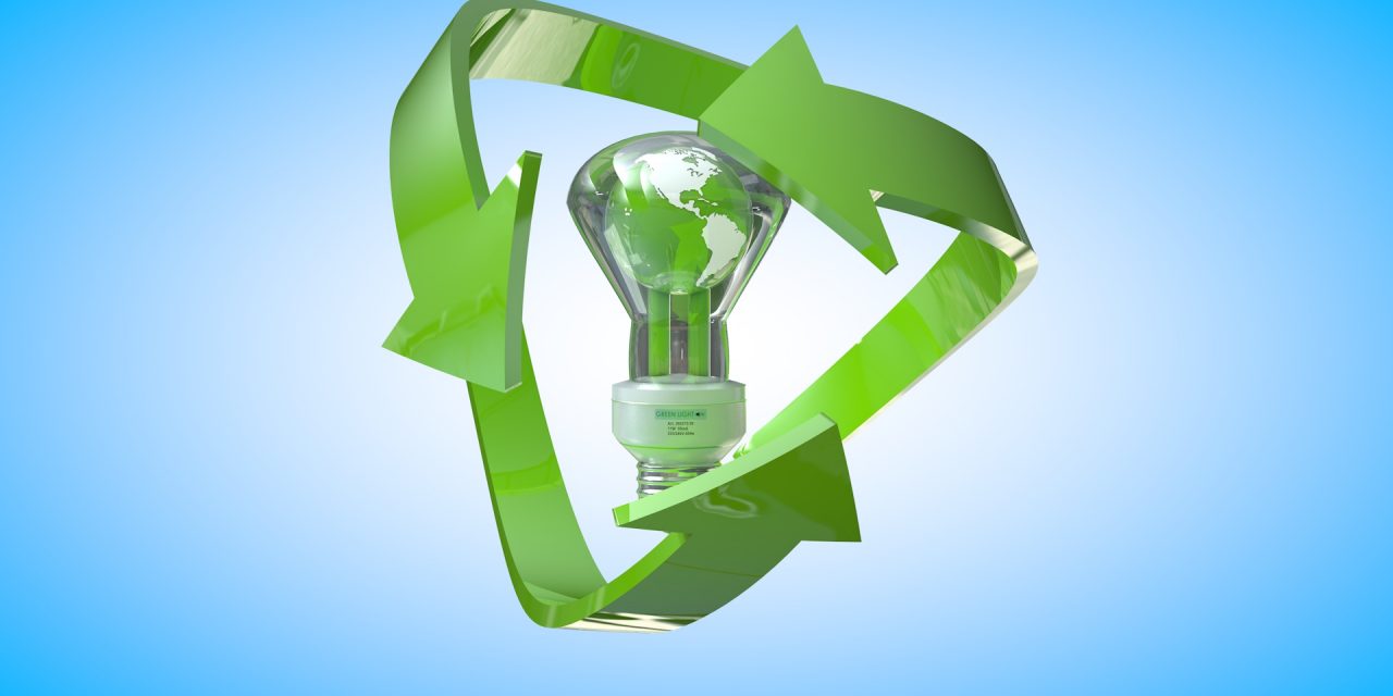 Beyond Ecotourism: 5 Everyday Ideas for Living a Greener Lifestyle Once You’re Back Home