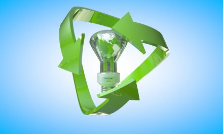 Beyond Ecotourism: 5 Everyday Ideas for Living a Greener Lifestyle Once You’re Back Home